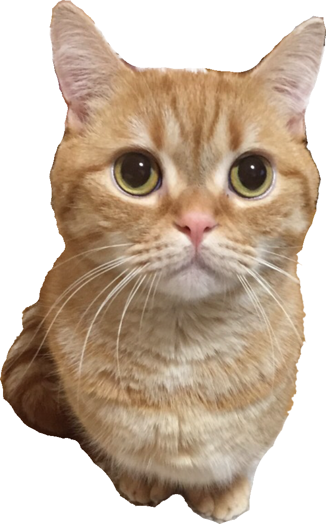 引越料金は主に、【人数(荷量)】【所要時間】【距離】の３点によって決まります！